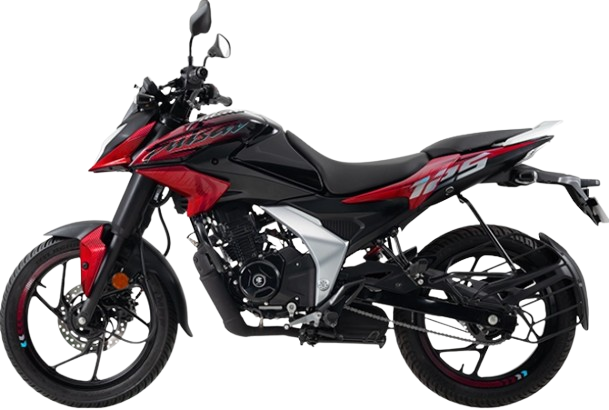 Pulsar N125